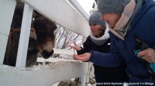 2018.02.15 - Kulig IE